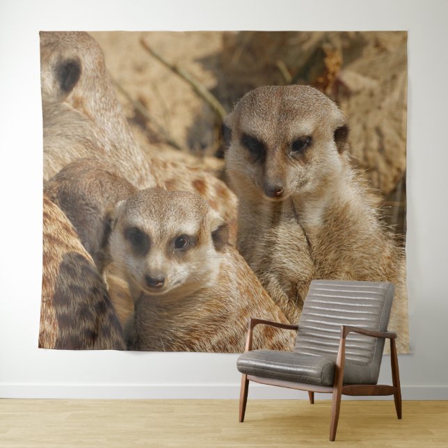 Tapiz Meerkat 039 (In situ (horizontal))