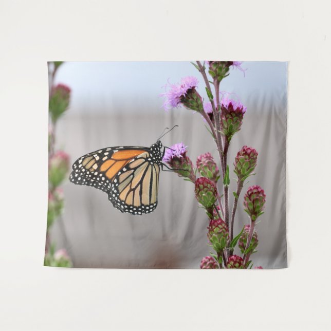 Tapiz Monarca (Anverso (horizontal))