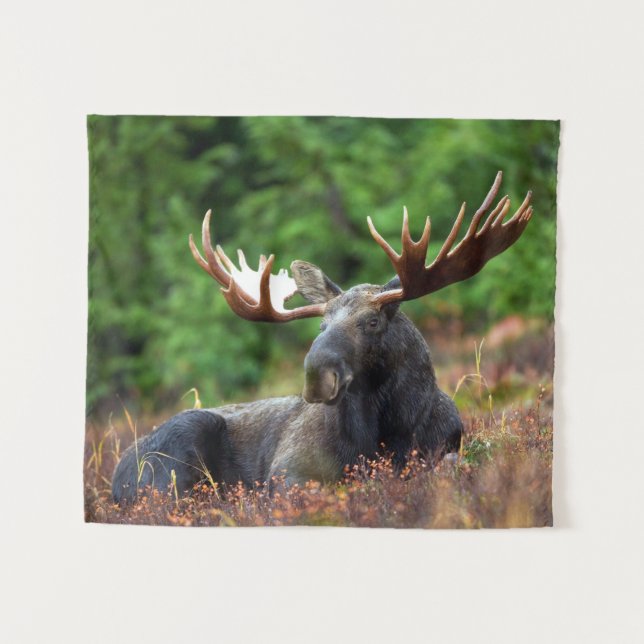 Tapiz Moose (Anverso (horizontal))