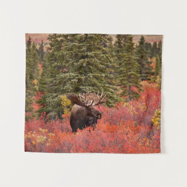 Tapiz Moose De Toro De pie en Birch Enano Rojo (Anverso (horizontal))