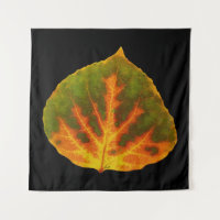 Naranja verde y hoja de aluminio amarillo #1