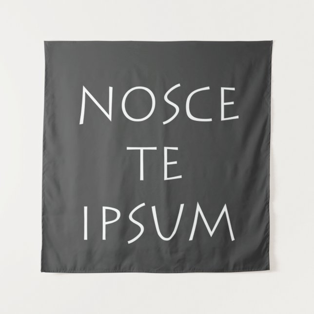 Tapiz Nosce te ipsum (Anverso)