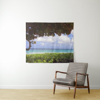Tapiz Ocean View, playa Juno