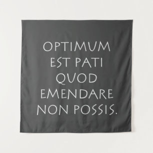 Tapiz Optimum est pati quod emendare non possis