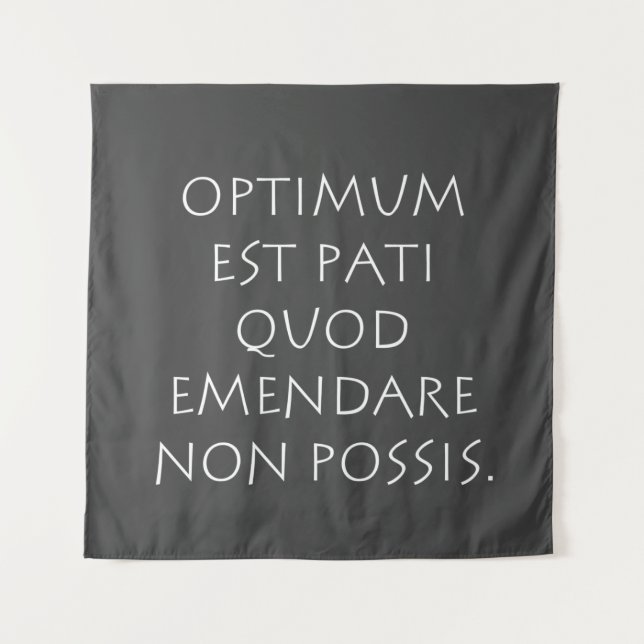 Tapiz Optimum est pati quod emendare non possis (Anverso)