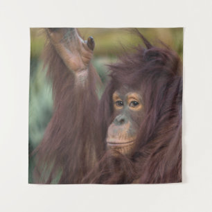 Tapiz Orangutan Kayan