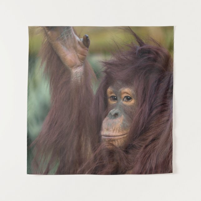 Tapiz Orangutan Kayan (Anverso)