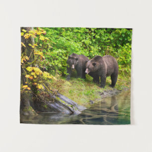 Tapiz Oso Pardo y Cachorro Hyder, Alaska