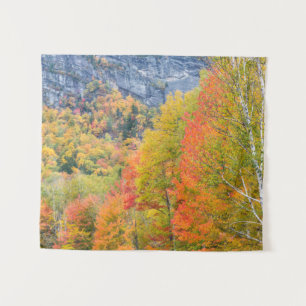 Tapiz Otoño en Grafton Notch State Park, Maine