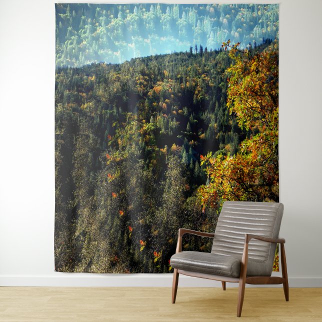 Tapiz Otoño en las montañas...... (In situ)