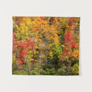 Tapiz Otoño en Sims Pond North Carolina, Blue Ridge