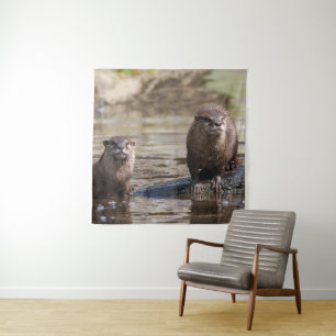 Tapiz Otters en el foco de atención