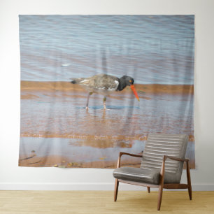 Tapiz Oyster Catcher Rare Bird Photo Tapestry