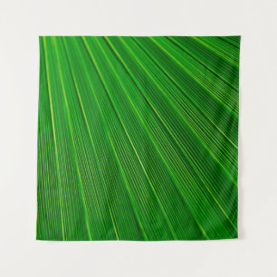 Tapiz Palma verde de fondo vegetal de hoja