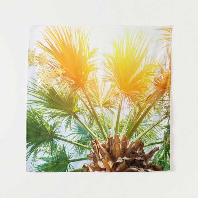 Tapiz Palmera de palmera brillante fondo de verano. p tr (Anverso)