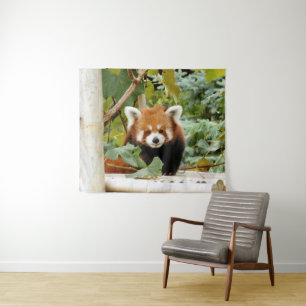 Tapiz Panda rojo