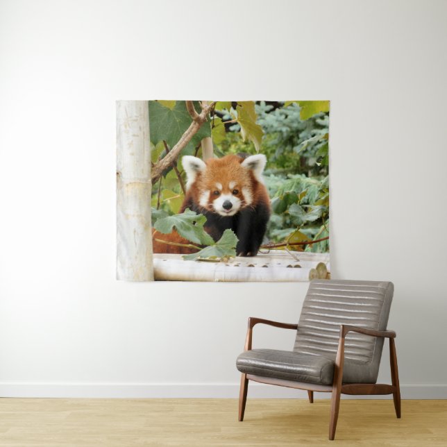 Tapiz Panda rojo (In situ (horizontal))