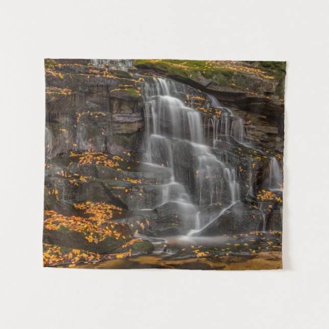 Tapiz Parque Estatal Blackwater Falls (Anverso (horizontal))