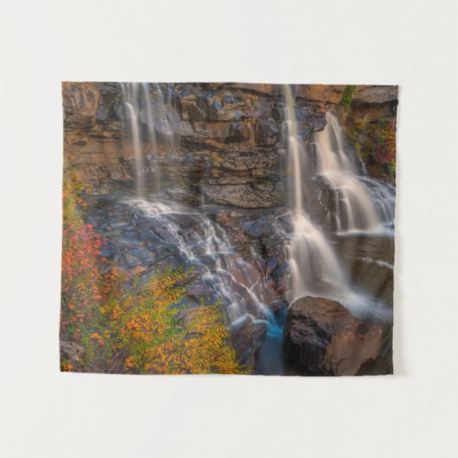 Tapiz Parque estatal de las Cataratas de Blackwater | Vi (Anverso (horizontal))