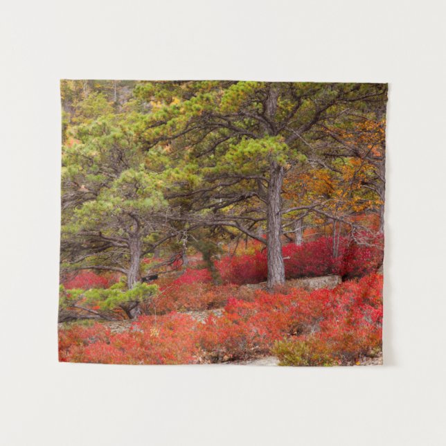 Tapiz Parque Nacional Acadia, Maine (Anverso (horizontal))