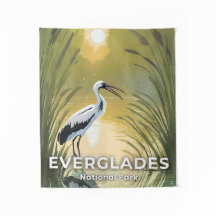 Parque Nacional Everglades | Cigüeña Acuarela