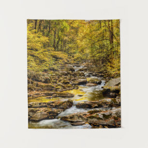 Tapiz Parque Nacional Great Smoky Mountains. Big Creek