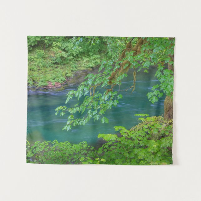 Tapiz Parque nacional olímpico Estado de Washington (Anverso (horizontal))