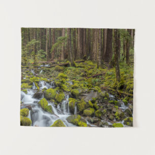 Tapiz Parque Nacional Olímpico, Estado de Washington