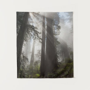 Tapiz Parque Nacional Redwood California