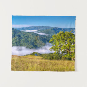 Tapiz Parque Nacional Redwood, California