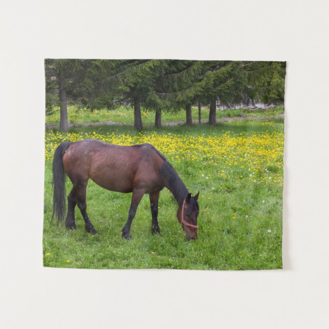 Tapiz Paso Tihuta, caballo en pastoreo (Anverso (horizontal))