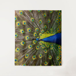 Tapiz Pavo de mar colorido