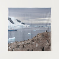 PENGUINS BESIDE SEA