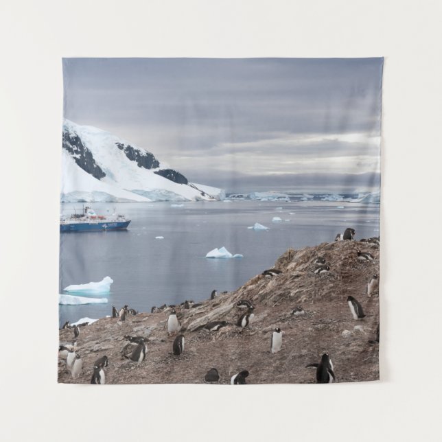 TAPIZ PENGUINS BESIDE SEA (Anverso)