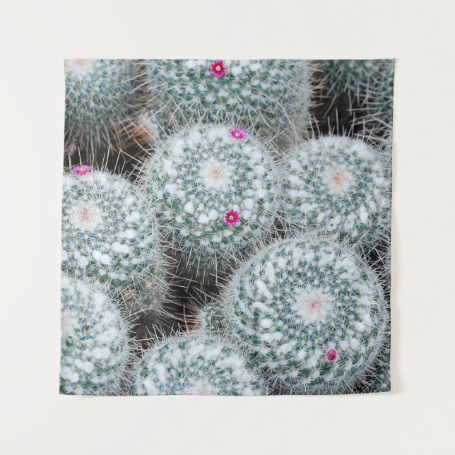 Tapiz Pequeñas flores rosas cactus Plantas (Anverso)