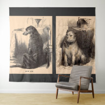 perro de alta vida, perro de baja vida