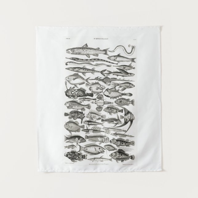 Tapiz Pescado blanco y negro vintage, océano, ictiólogo (Anverso)