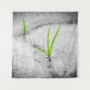 Tapiz Piedra de poesía de ladrillo de pavimento