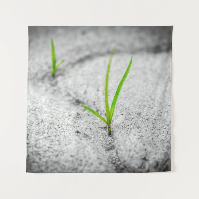 Tapiz Piedra de poesía de ladrillo de pavimento (Anverso)