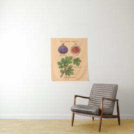 Tapiz Planche Botanique Figue Ficus Carica