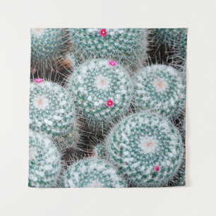 Tapiz Plantas de cactus con flores rosadas muy pequeñas