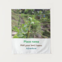 Plantas naturales fotografía nombre de viaje en ag