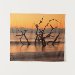 Tapiz Playa Driftwood al amanecer Jekyll Island Georgia