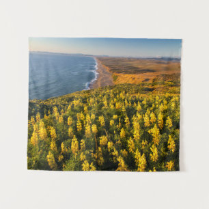 Tapiz Point Reyes National Seashore California