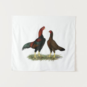 Tapiz Pollos Aseel Black Red
