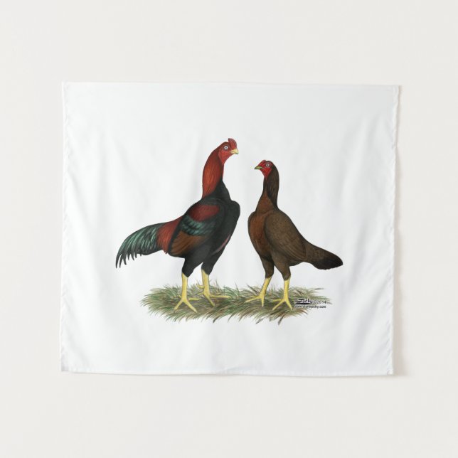 Tapiz Pollos Aseel Black Red (Anverso (horizontal))