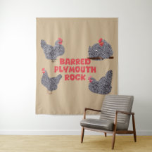 Pollos rocosos de Plymouth