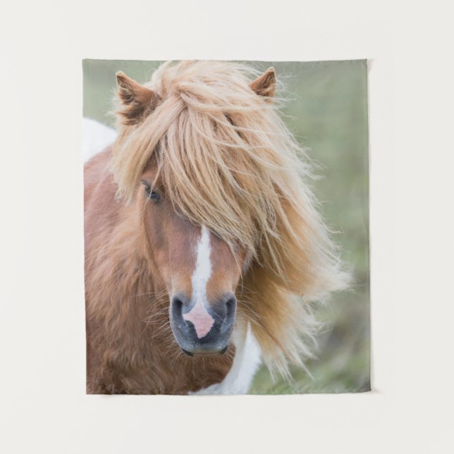 Tapiz Pony de Shetland en la isla de Unst (Anverso)