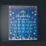 Tapiz Princess Winter Sweet 16 photobooth Backdrop<br><div class="desc">Princess Winter Sweet 16 photobooth Backdrop</div>
