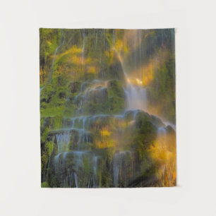 Tapiz Proxy cae tres hermanas Oregón